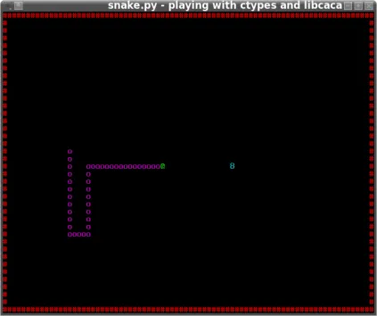snake.py screenshot